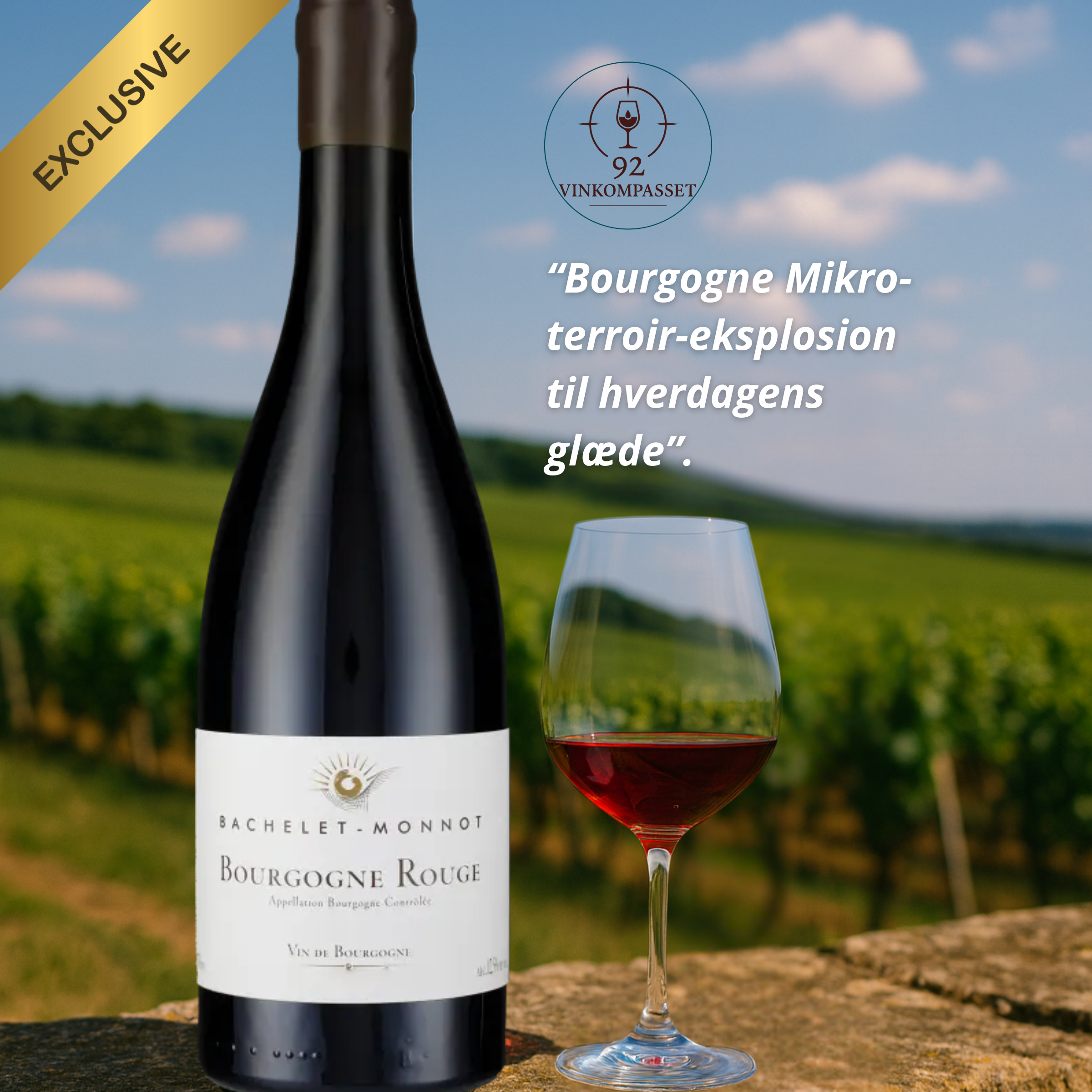 Domaine Bachelet-Monnot Bourgogne Rouge 2023