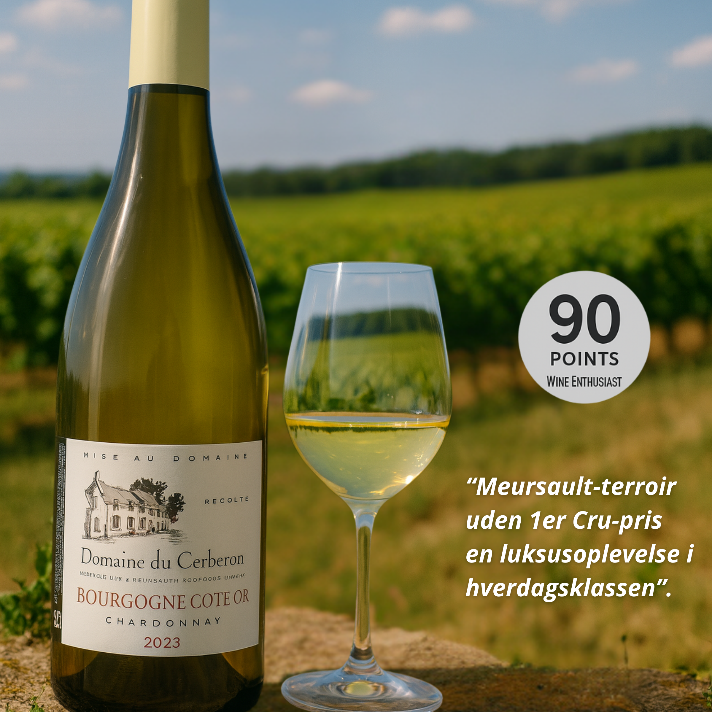 Domaine du Cerberon Bourgogne Chardonnay Cote d'Or 2023