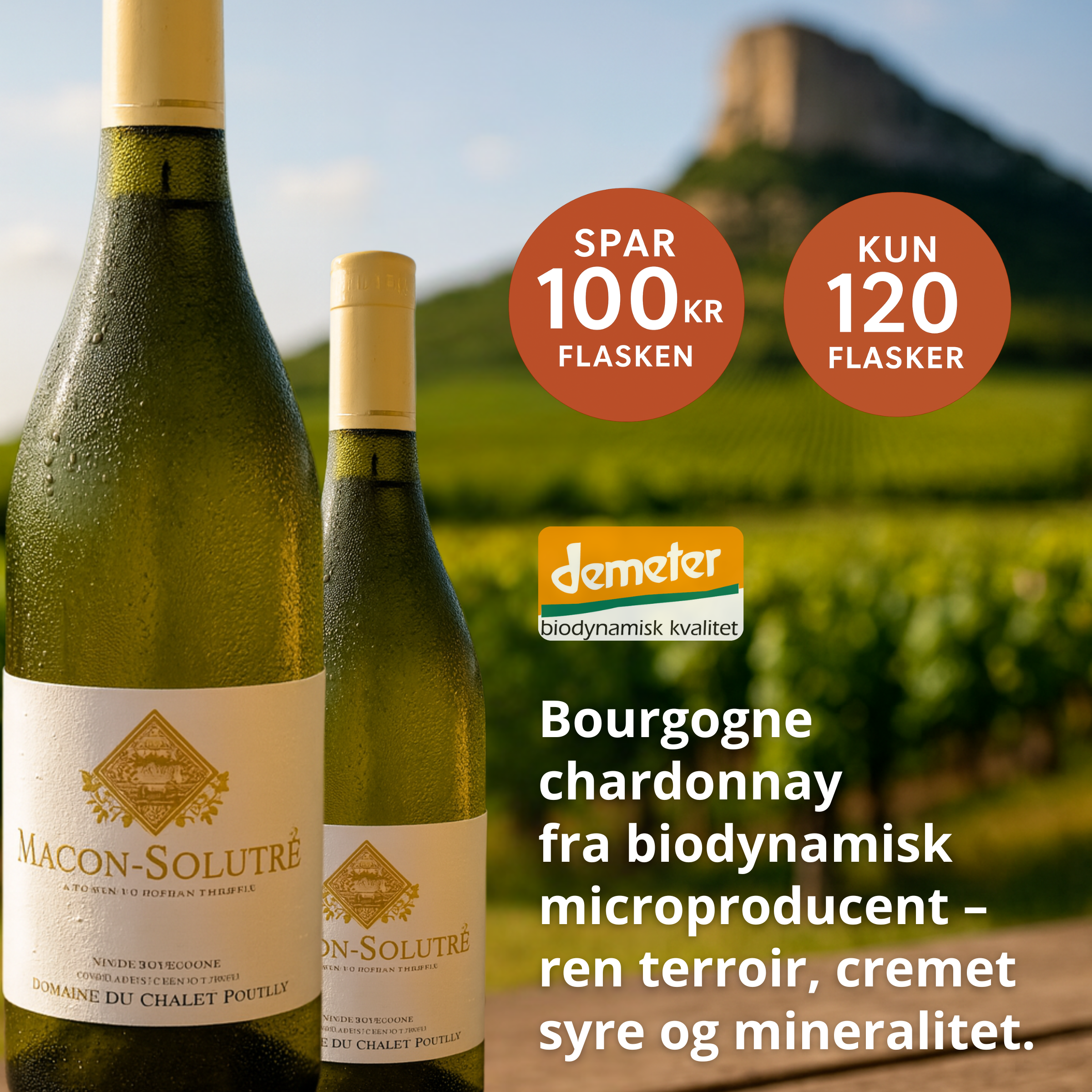 Domaine du Chalet Pouilly Mâcon-Solutré 2023