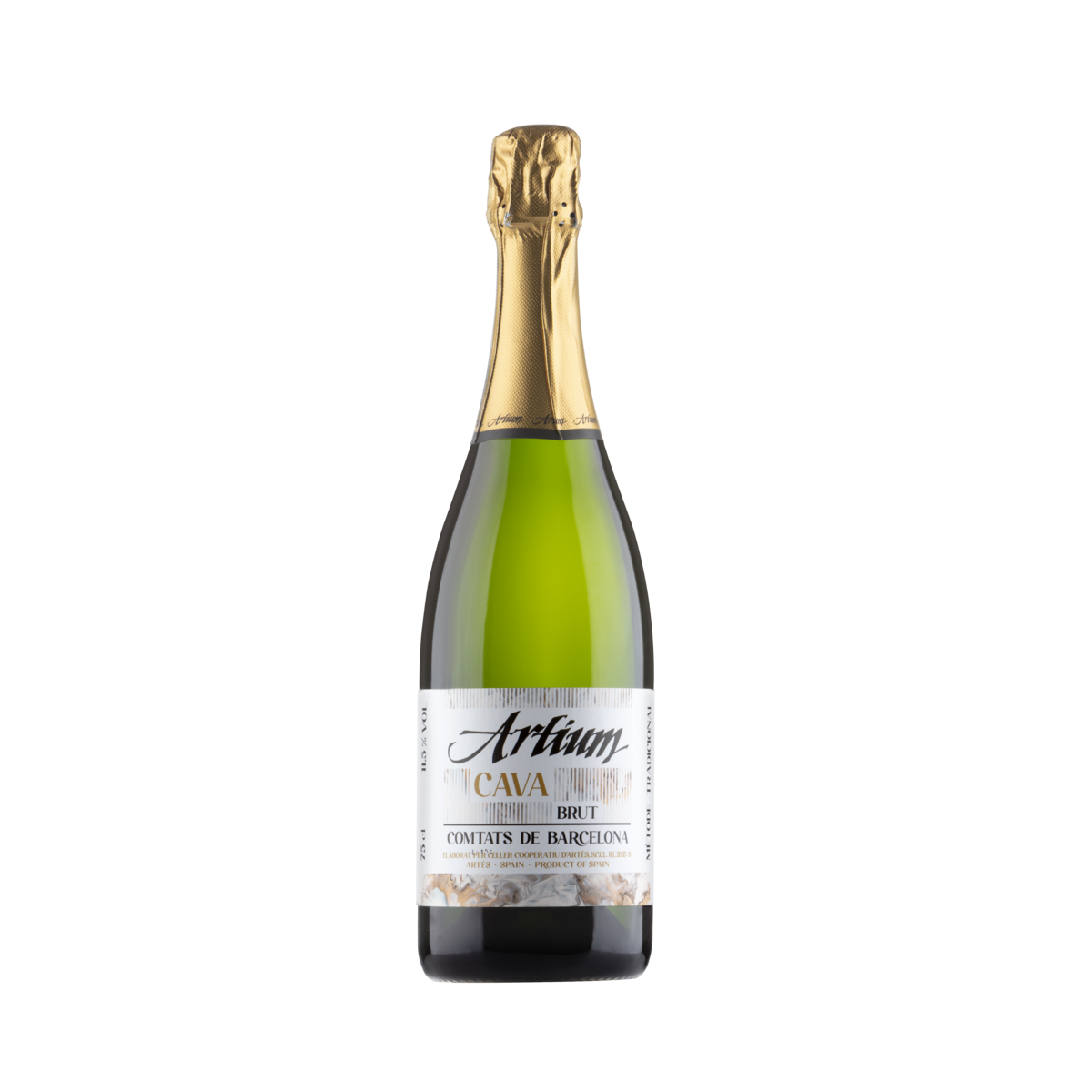 Artium Brut Guarda