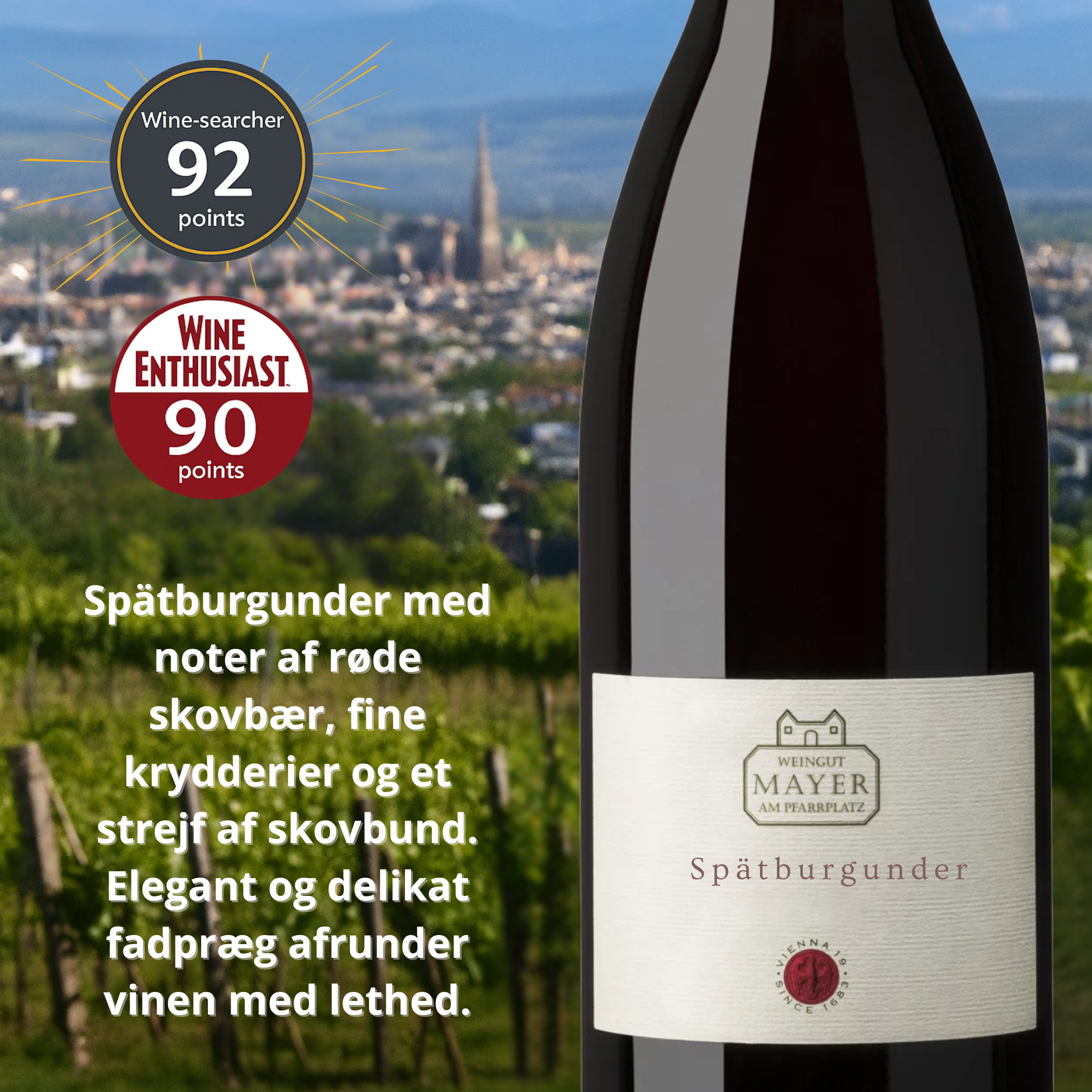 Mayer am Pfarrplatz Spätburgunder (Pinot Noir) 2022