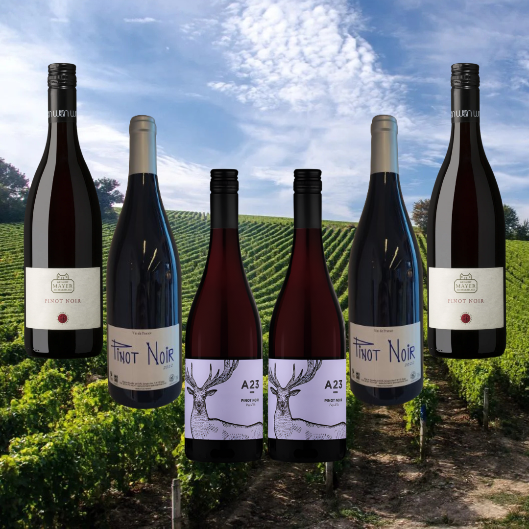 Pinot Noir Smagekasse – 6 Flasker, 3 Regioner, 1 Ikonisk Drue